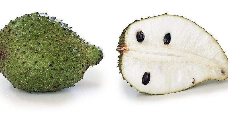 Soursop Tea Benefits: What the Research Actually Shows